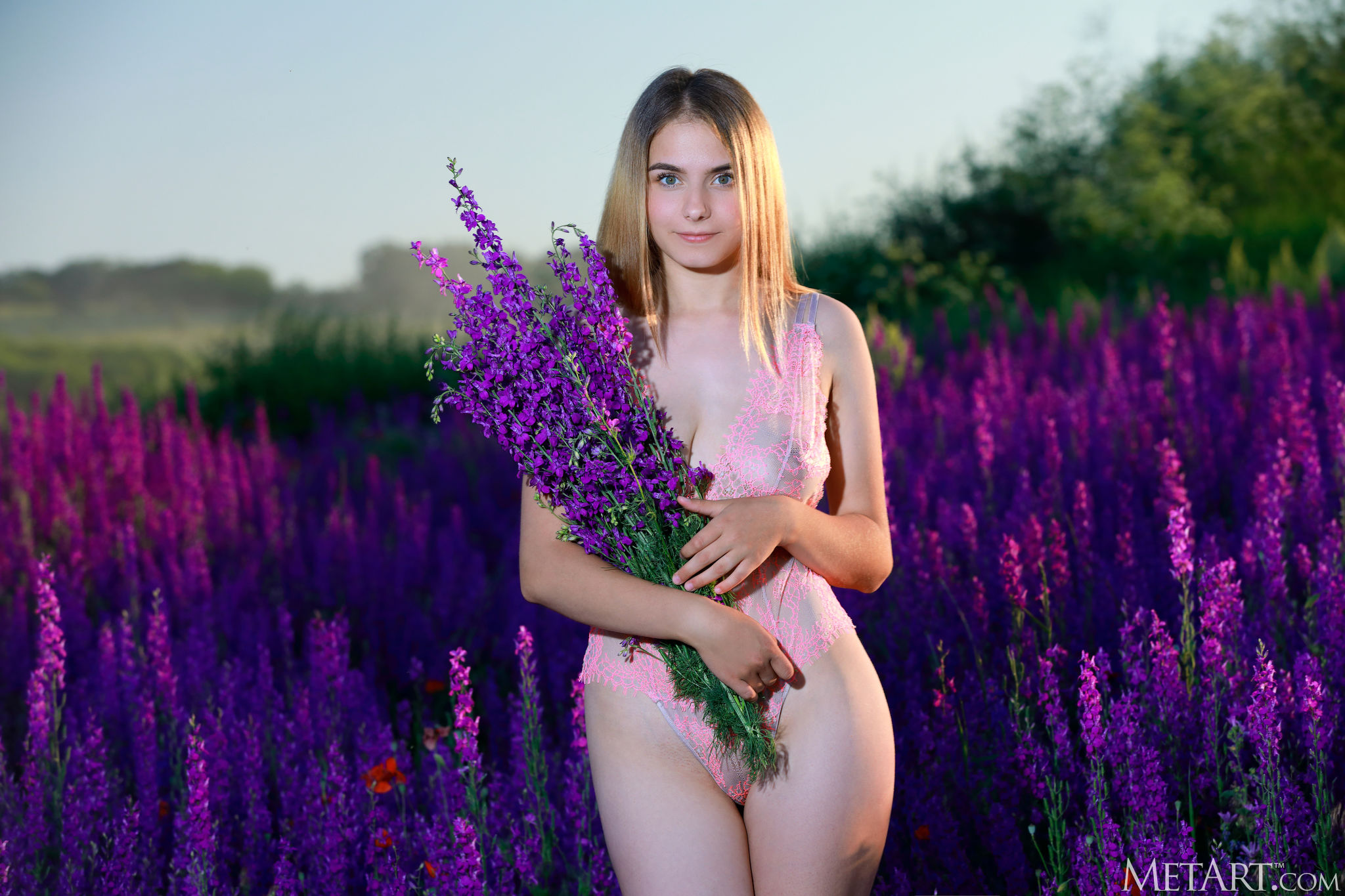 Dakota Pink - Lavender Fields, Sexy babes pictures - The best photos of hot  naked girls | xMissy